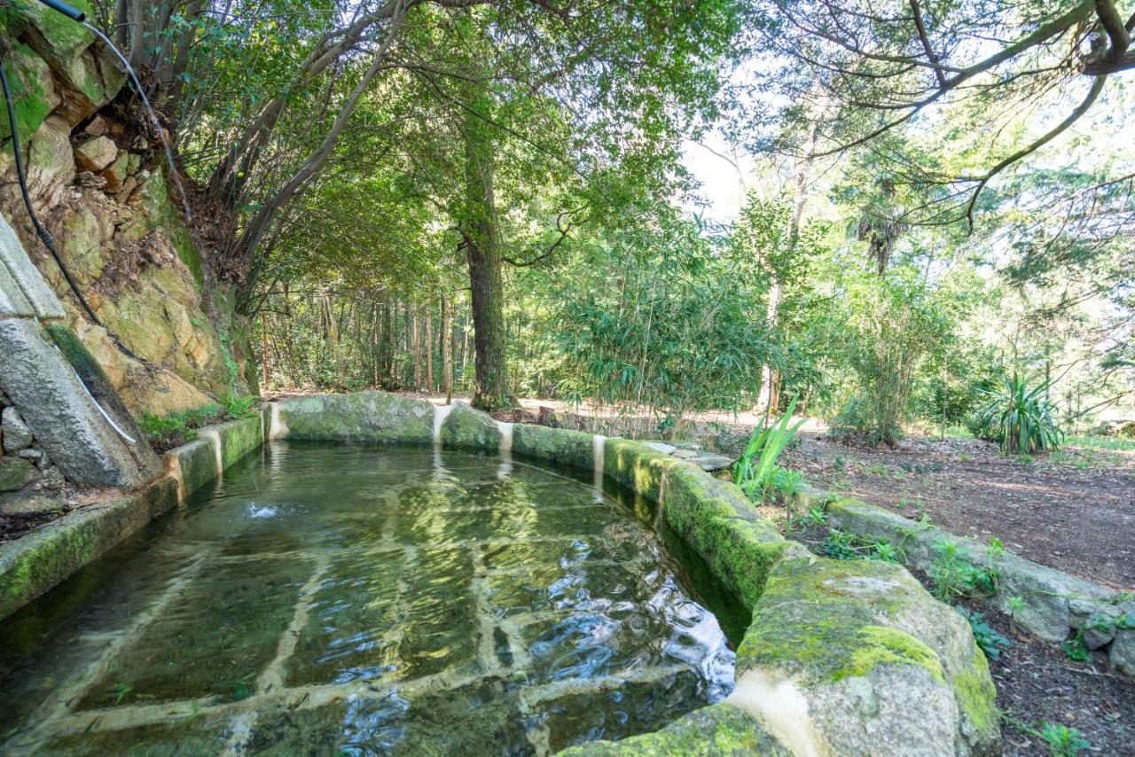 ווזלה Quinta Das Lamas - Oak Tree House מראה חיצוני תמונה